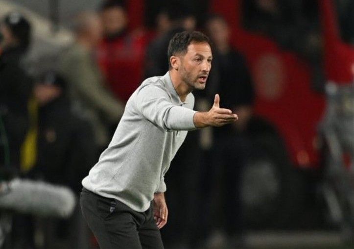 特德斯科：土耳其的裁判员水平一直很不错，犯错也是人之常情