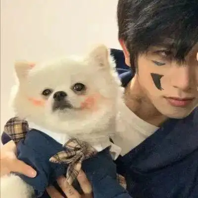 6686体育铁牌作者南葵思暖